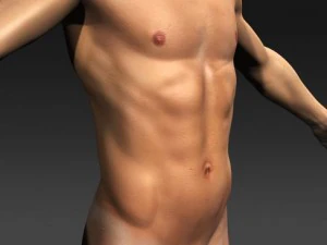 daniel   various formats 3D Model