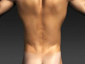 daniel   various formats 3D Model