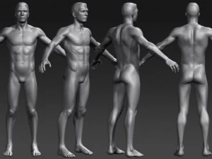 daniel   various formats 3D Model