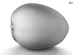 photo realistic mangos Model 3D
