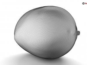 photo realistic mangos Model 3D