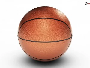 basketball arena v2 3D Model