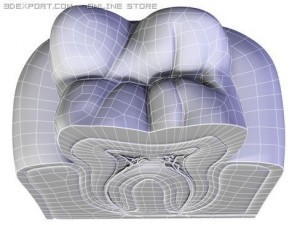 tooth 3Dモデル