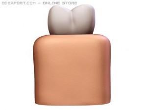 tooth 3Dモデル