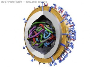influenza virus 3D Model