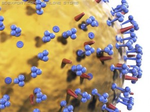 influenza virus 3D Model