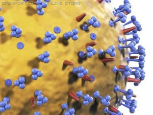 influenza virus 3D Model