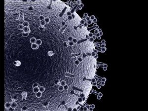 influenza virus 3D Model