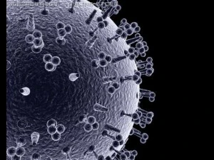influenza virus 3D Model