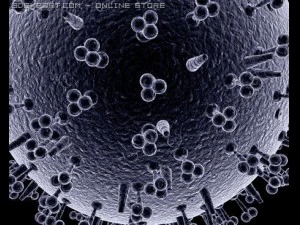 influenza virus 3D Model