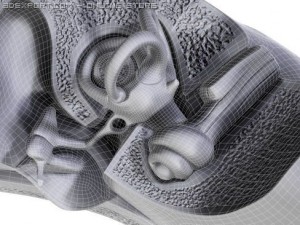 ear 3D Модель