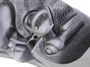 ucho Model 3D