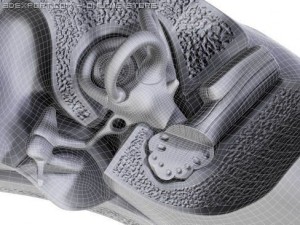 ear 3D Модель