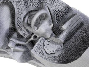 ucho Model 3D