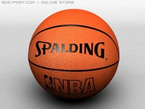 basketballcourt 3D Model