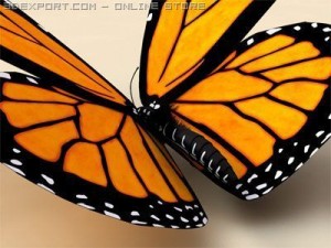 monarch 3D-Modell