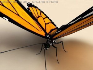 monarch 3D-Modell