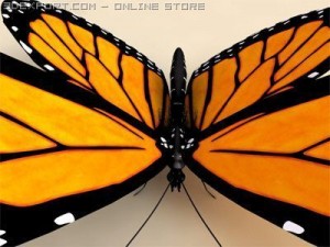 monarch 3D-Modell