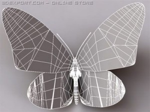 monarch 3D-Modell