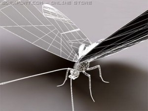 monarch 3D-Modell