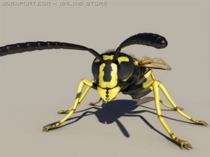 wasp 3D Модель