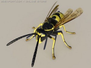 wasp 3D Модель