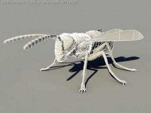 wasp 3D Модель