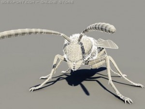 wasp 3D Модель