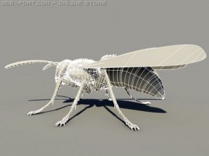 wasp 3D Модель