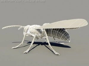 wasp 3D Model