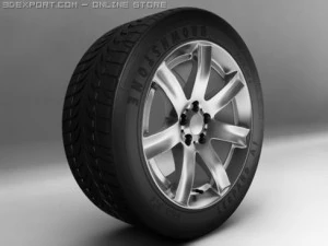 rims and tires 3D Model
