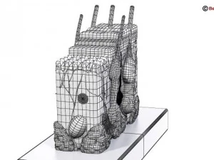 skin 3D Model
