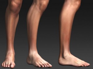 daniel 3D Model