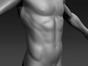 daniel 3D Model
