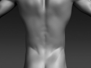 daniel 3D Model