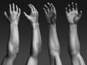 daniel 3D Model