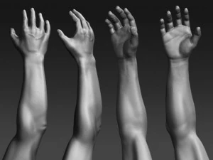 Даніель 3D Модель