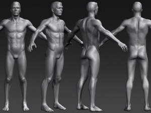 daniel 3D Model