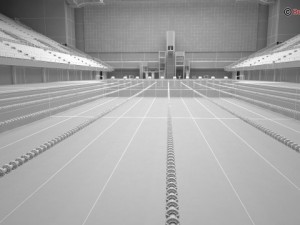 swim stadium Modelo 3D