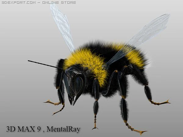 bumble bee 3D Model .c4d .max .obj .3ds .fbx .stl .blend 