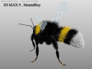bumble bee Model 3D