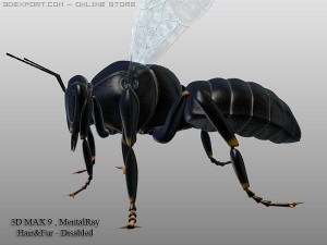 bumble bee Model 3D