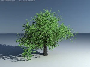 tree 3d 3D Model