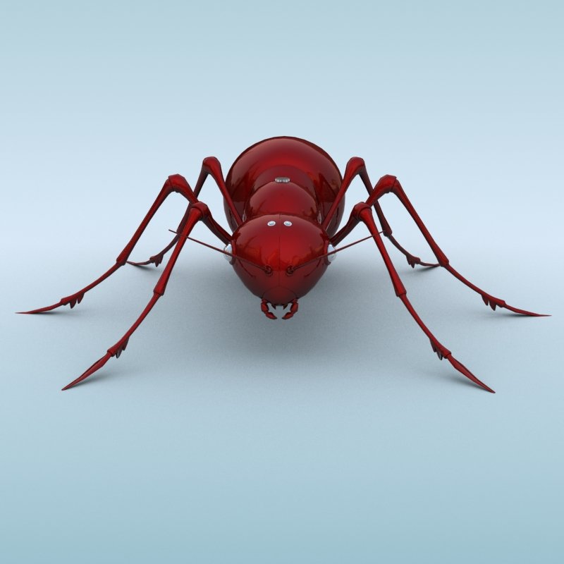 Ant 3d model. Ant 3. муравей 3д модель для печати. текстура муравья. Ant 3.