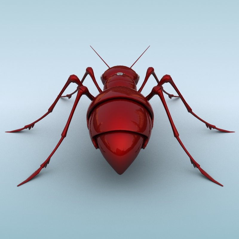 3d ant. Ant 3d model. ant 3d full.