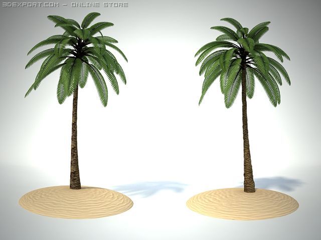 palm one model max 9 3Dモデル .c4d .max .obj .3ds .fbx .stl .blend 