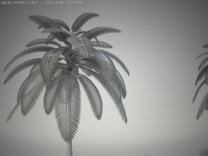 palm one model max 9 3Dモデル