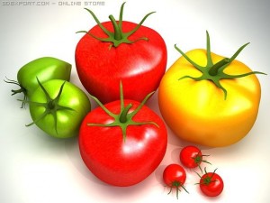 tomato 3D 模型