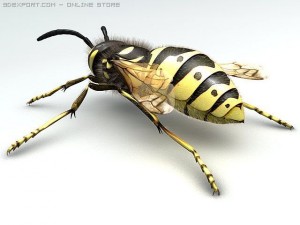 wasp Modelo 3D