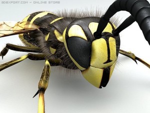 wasp Modelo 3D